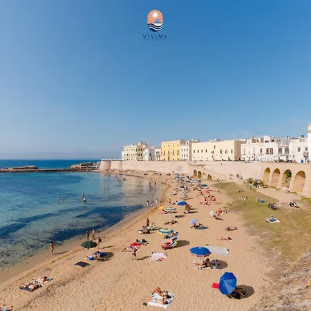 Blumarine By Vivimy Daire *