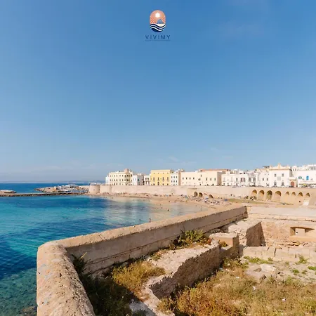 Blumarine By Vivimy Gallipoli