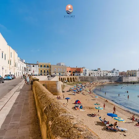 Blumarine By Vivimy Daire