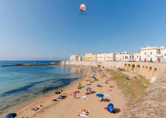 Blumarine By Vivimy Daire *